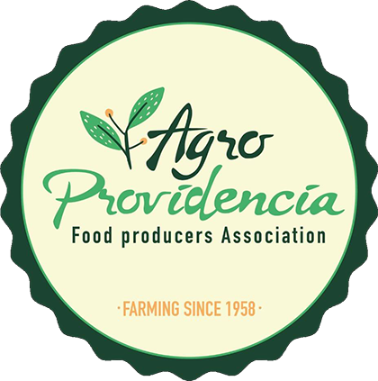 Agro Providencia