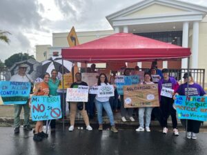 Colmena Barbuda Support